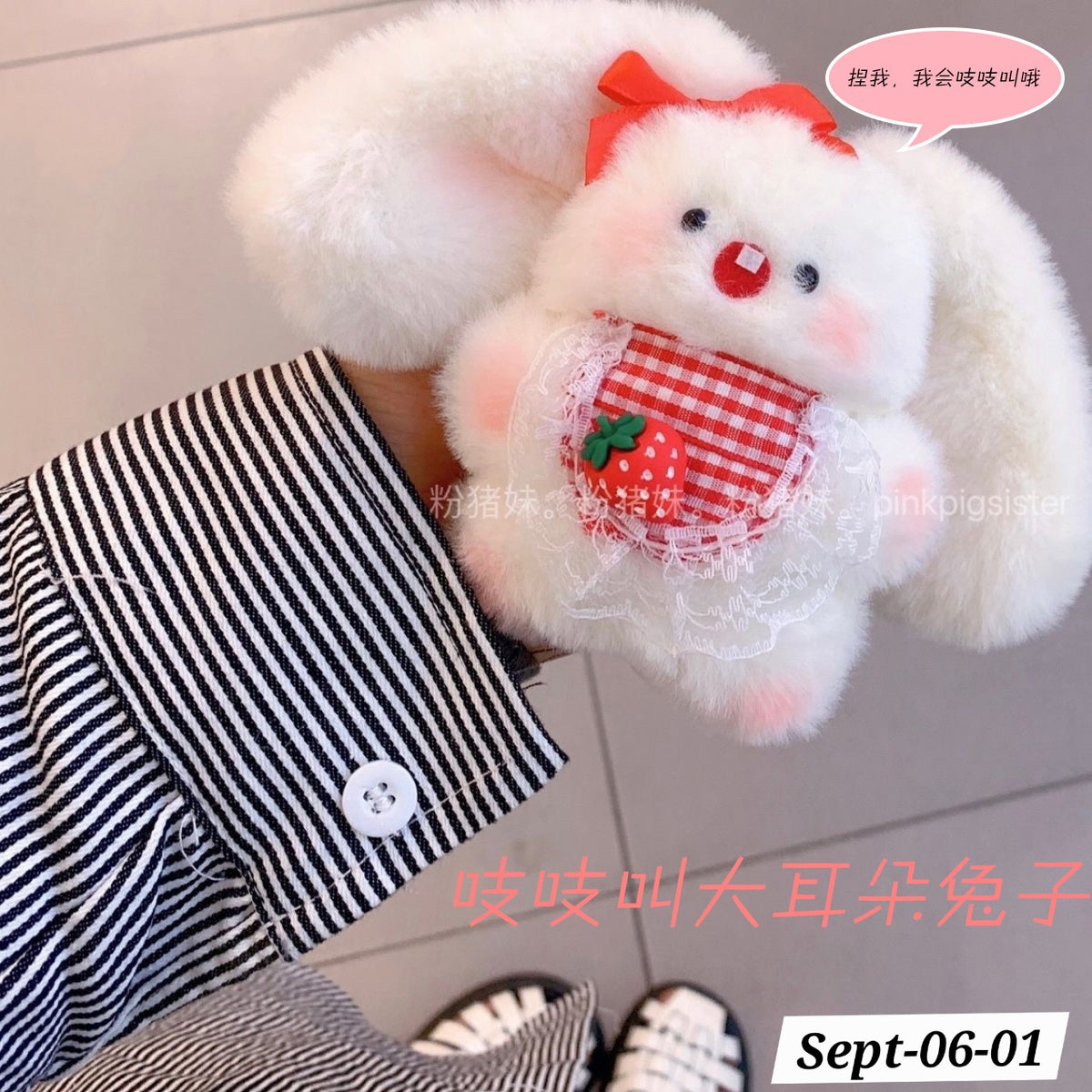 SEPTEMBER26 SET 06 - POCKET PLUSHIES