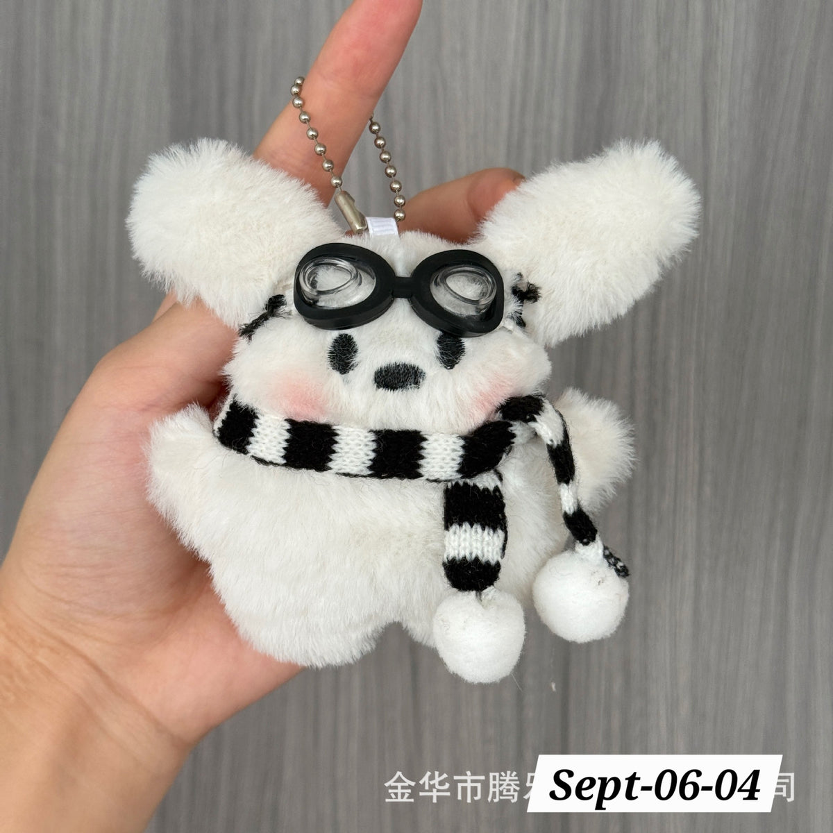 SEPTEMBER26 SET 06 - POCKET PLUSHIES