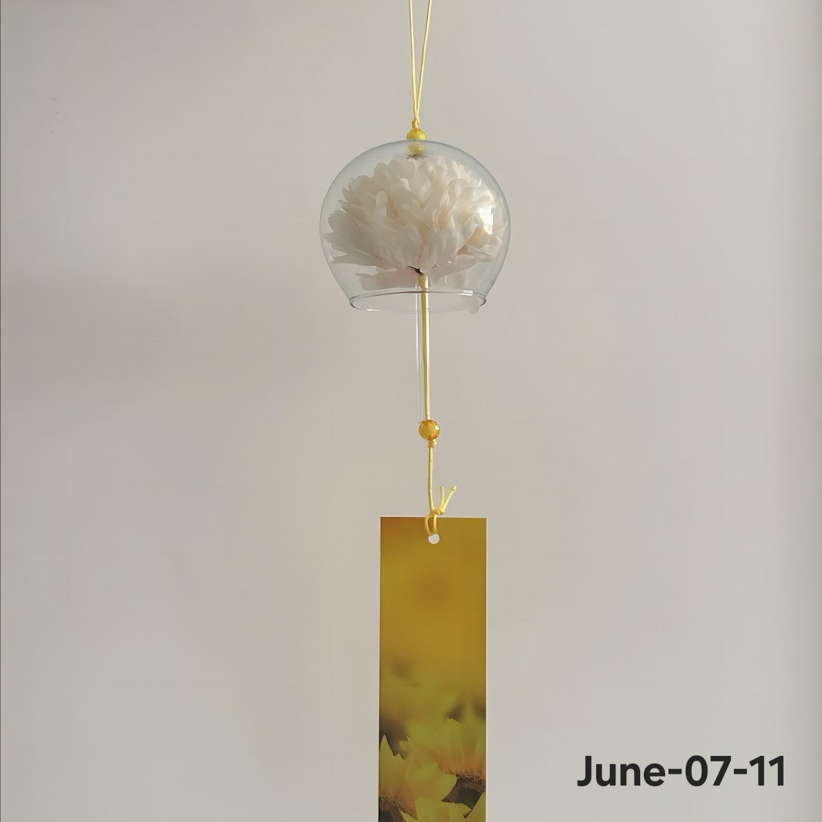 JUNE26 Set 07 - Japanese wind chimes