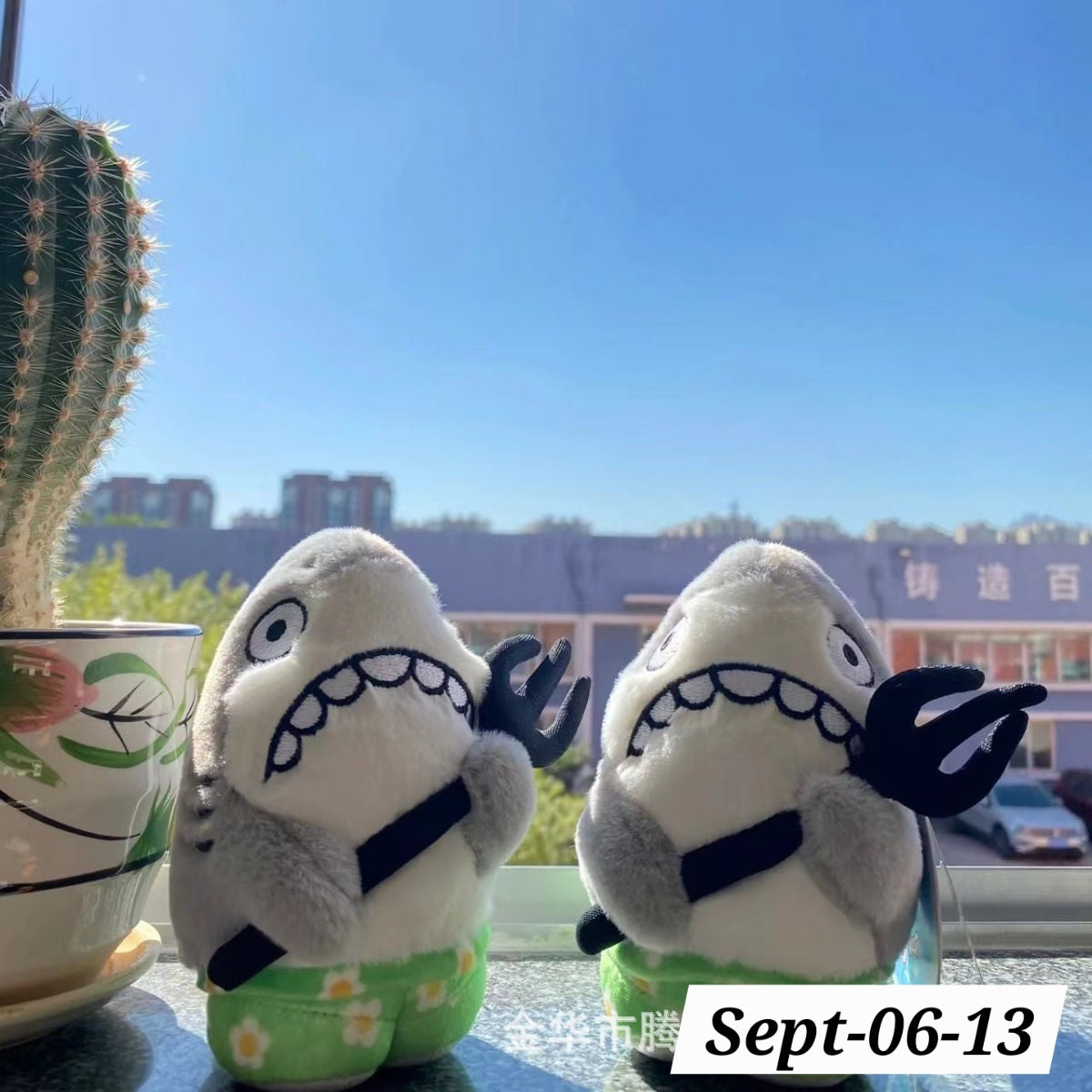 SEPTEMBER26 SET 06 - POCKET PLUSHIES