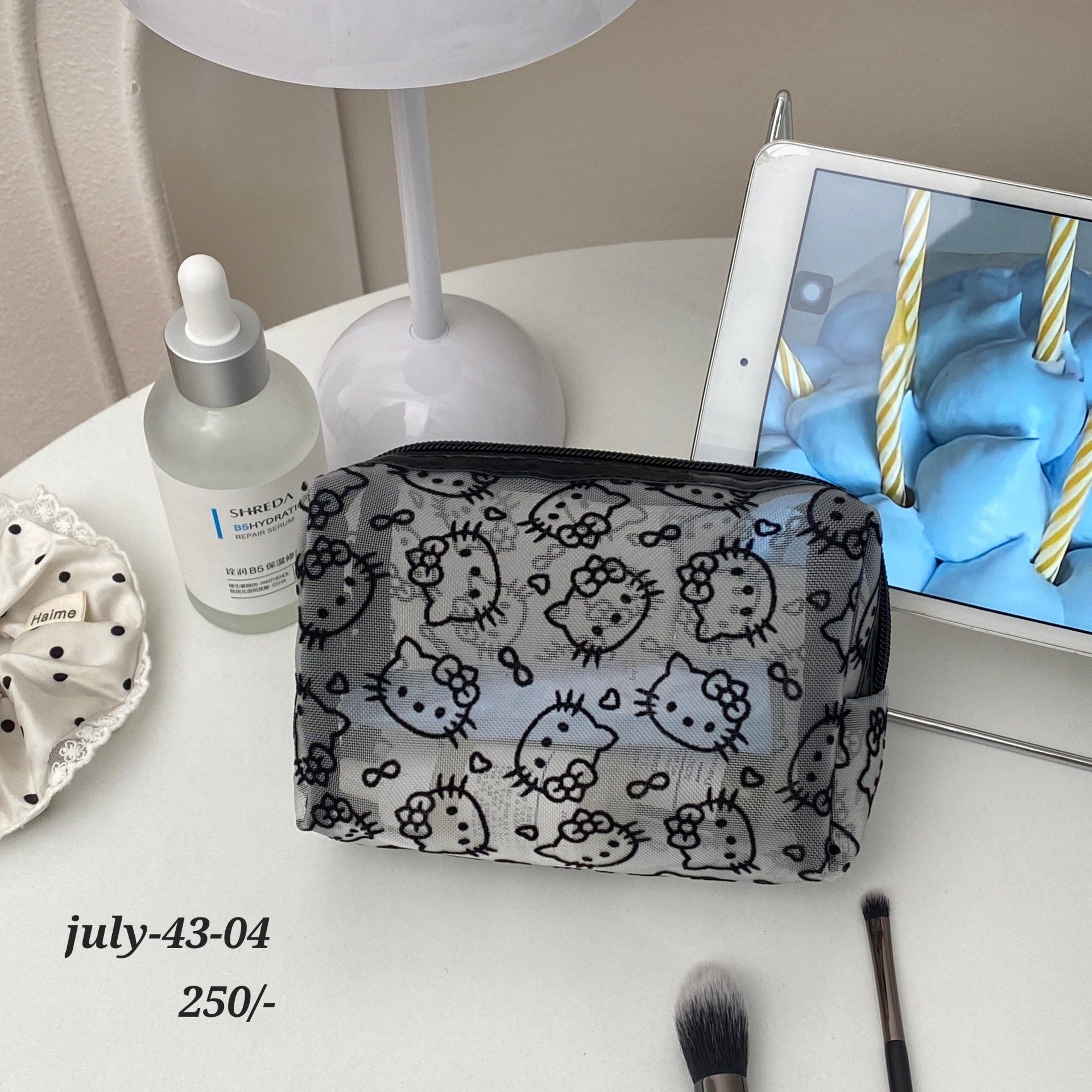 JULY26 Set 43 - Portable makeup bag
