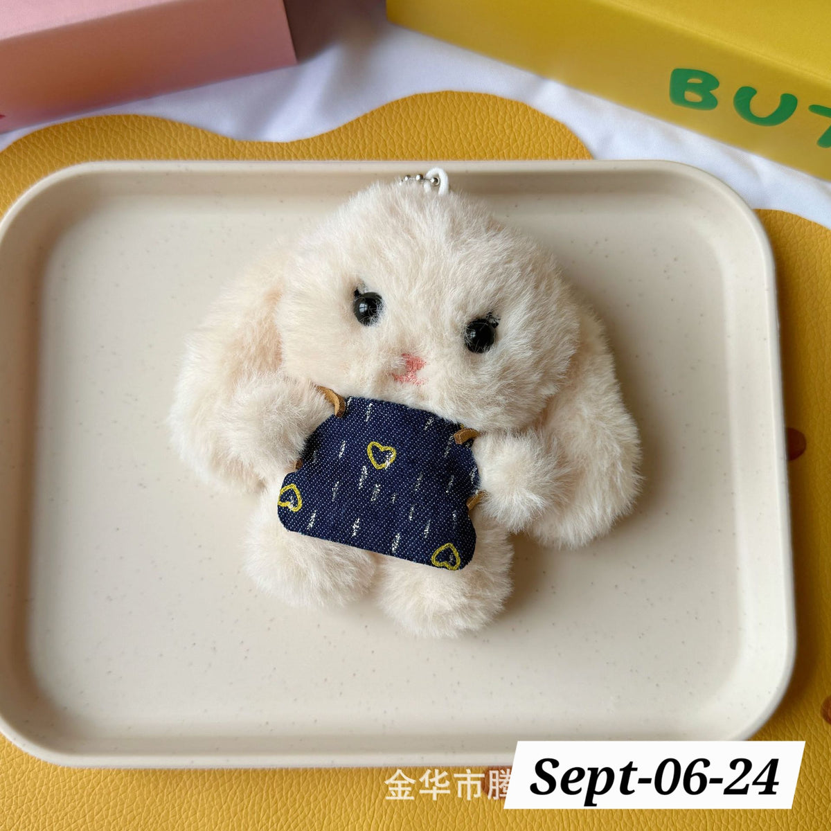 SEPTEMBER26 SET 06 - POCKET PLUSHIES
