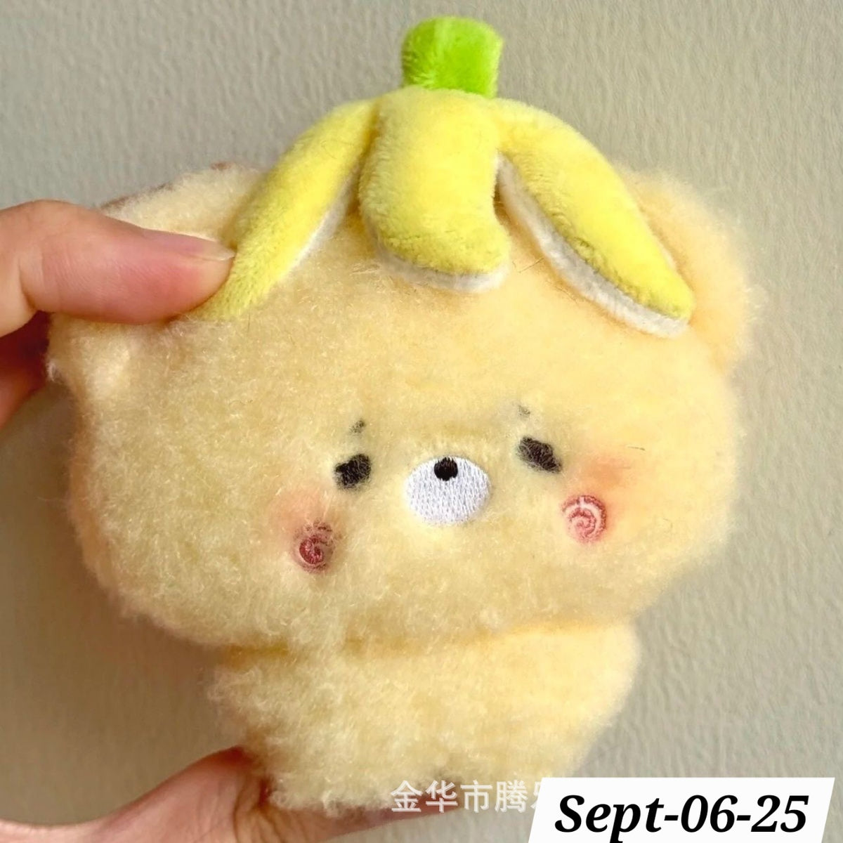 SEPTEMBER26 SET 06 - POCKET PLUSHIES