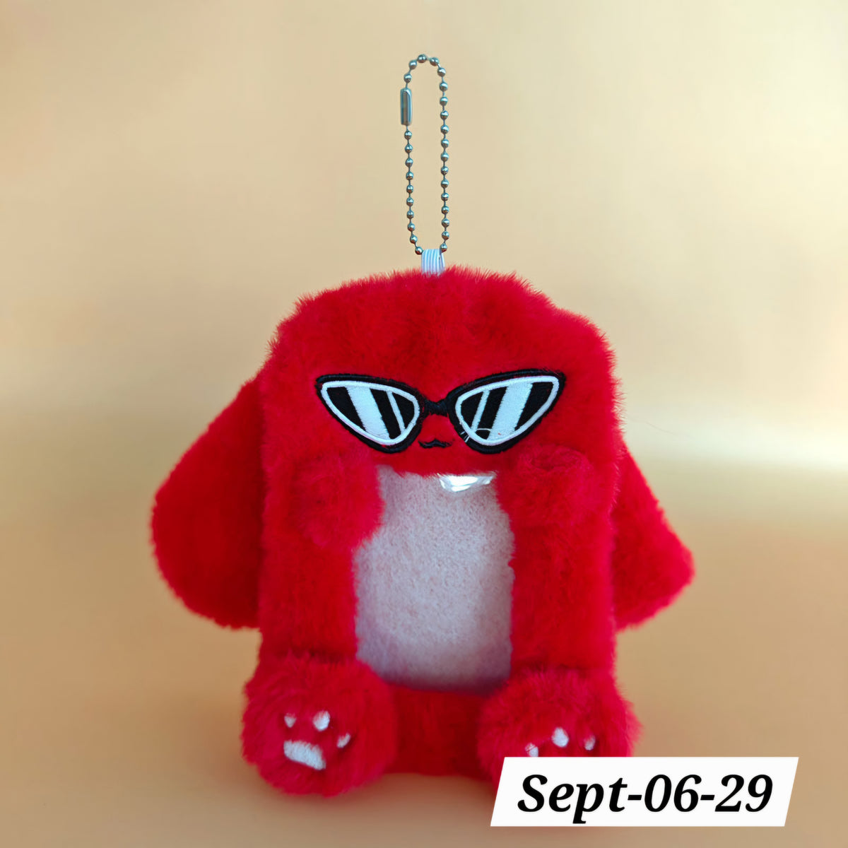 SEPTEMBER26 SET 06 - POCKET PLUSHIES