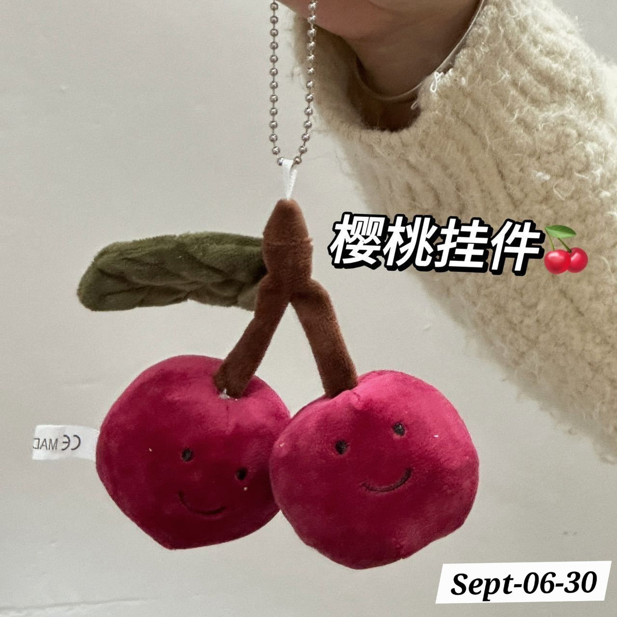 SEPTEMBER26 SET 06 - POCKET PLUSHIES