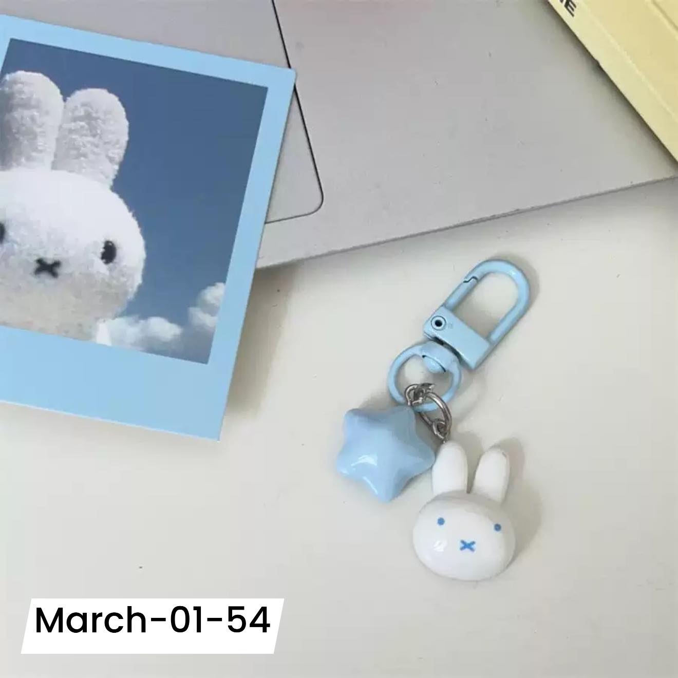 March2026 Set 01 - Sanrio keychains