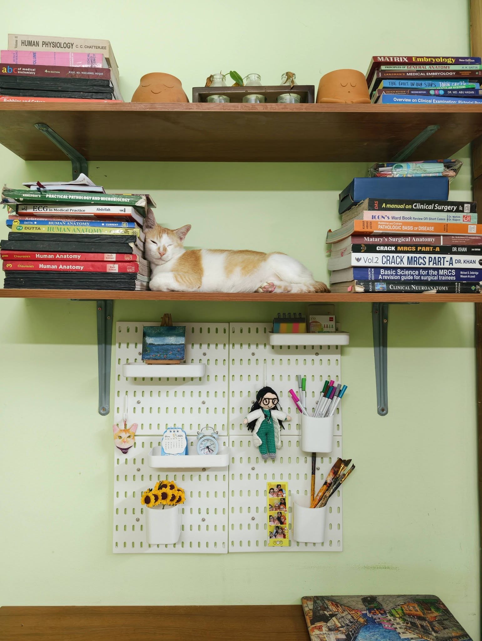 JULY26 Set 33 - Pegboard with accessories