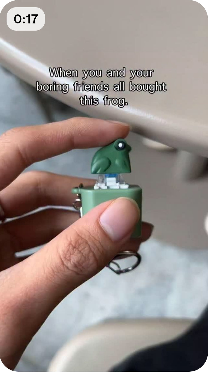 AUGUST26 SET 16 - Frog & Duck keychain