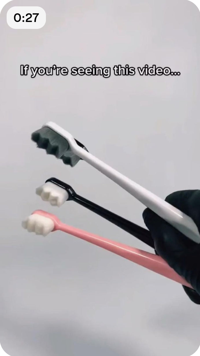NOV26 SET 01 - 10000 BRISTLES BRUSH