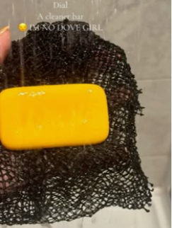 JULY26 Set 02 - African Net Sponge