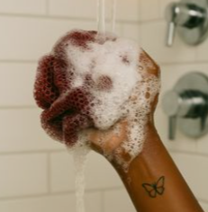 JULY26 Set 02 - African Net Sponge