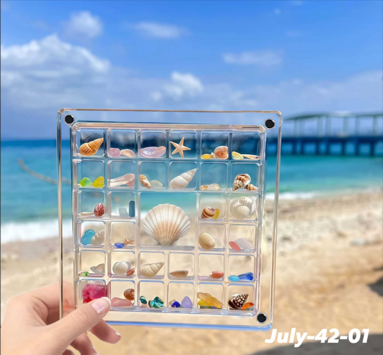 JULY26 Set 42 - Sea-shell collecting box