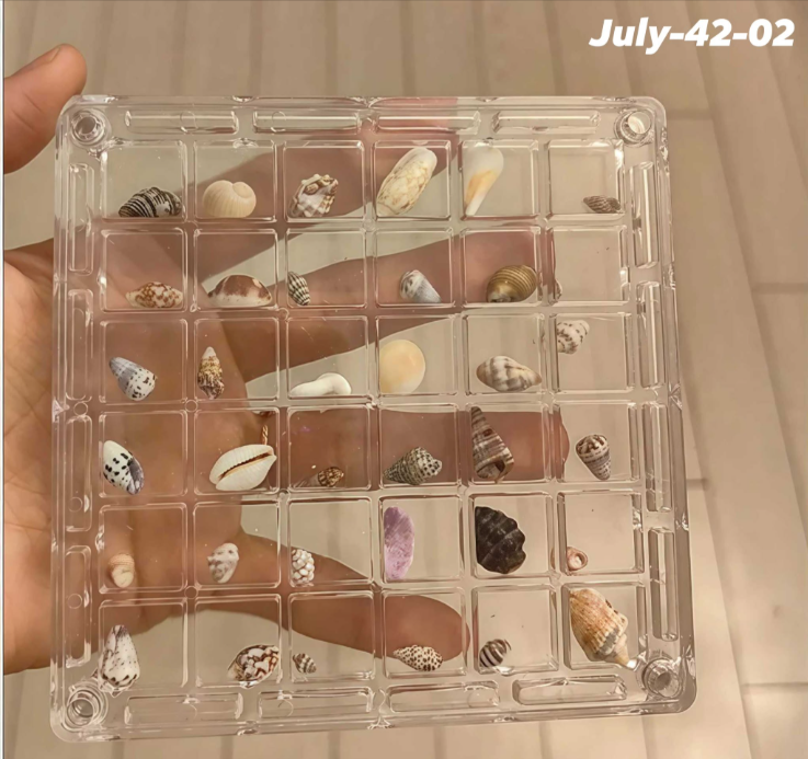 JULY26 Set 42 - Sea-shell collecting box