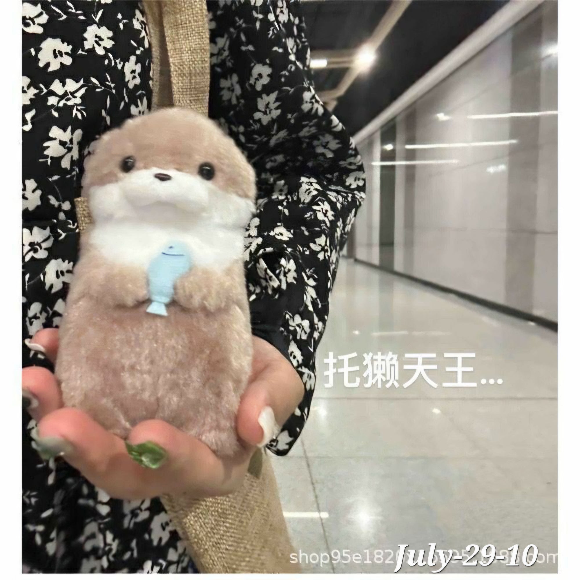 JULY26 Set 29 - Plushies